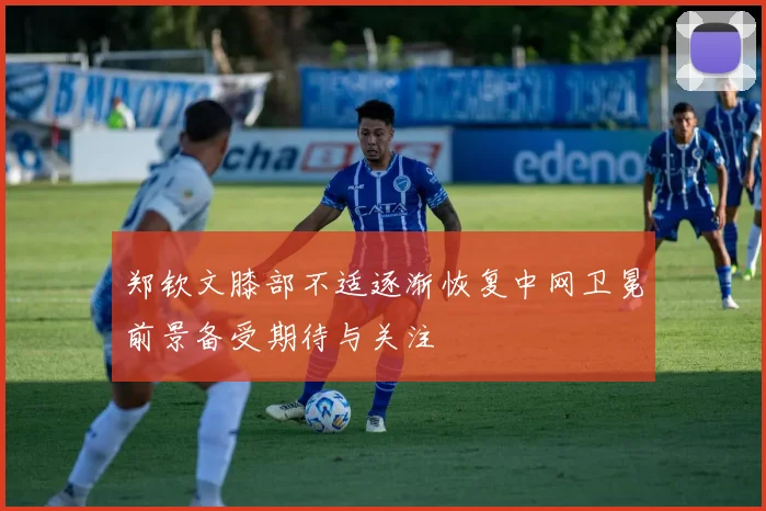 郑钦文膝部不适逐渐恢复中网卫冕前景备受期待与关注
